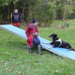 hundeschule-karlstedt-gruppenstunde-10-2021-19