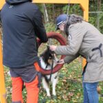 hundeschule-karlstedt-gruppenstunde-10-2021-22