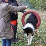 hundeschule-karlstedt-gruppenstunde-10-2021-23