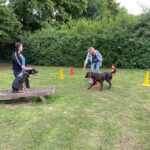 hundeschule-karlstedt-agility-2206-02