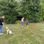 hundeschule-karlstedt-agility-2206-03