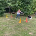 hundeschule-karlstedt-agility-2206-04