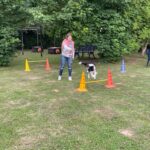 hundeschule-karlstedt-agility-2206-05