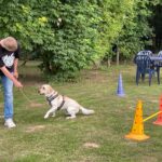 hundeschule-karlstedt-agility-2206-07