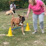 hundeschule-karlstedt-agility-2206-08