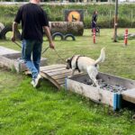 hundeschule-karlstedt-agility-2206-14