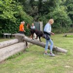 hundeschule-karlstedt-agility-2206-15