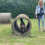 hundeschule-karlstedt-agility-2206-16