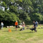 hundeschule-karlstedt-agility-2206-17