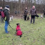 hundeschule-karlstedt-hundeplatz-2201-01