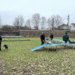 hundeschule-karlstedt-hundeplatz-2201-10