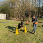 hundeschule-karlstedt-hundesport-2203-01