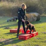 hundeschule-karlstedt-hundesport-2203-03