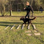 hundeschule-karlstedt-hundesport-2203-05