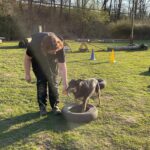 hundeschule-karlstedt-hundesport-2203-07