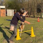 hundeschule-karlstedt-hundesport-2203-09