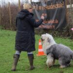 hundeschule-karlstedt-junghunde-januar-2023-04