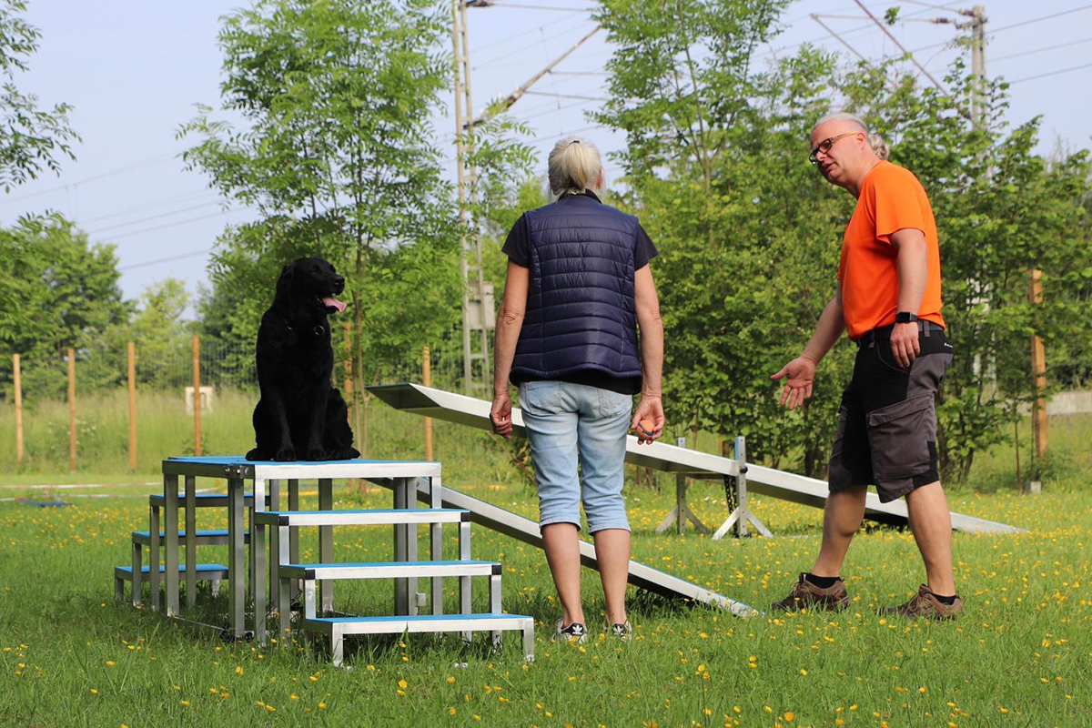 hundeschule-karlstedt-schnupperaktion-01