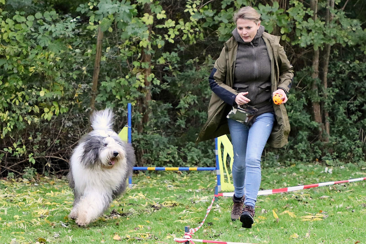 hundeschule-karlstedt-schnupperaktion-02