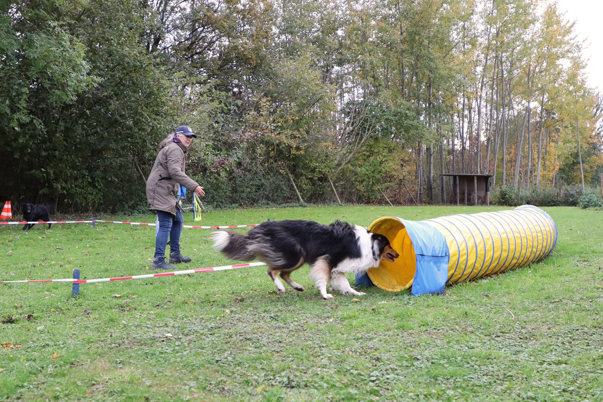 hundeschule-karlstedt-schnupperaktion-03