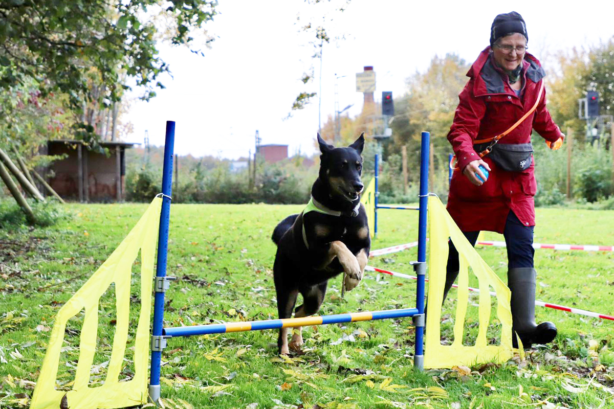 hundeschule-karlstedt-schnupperaktion-04