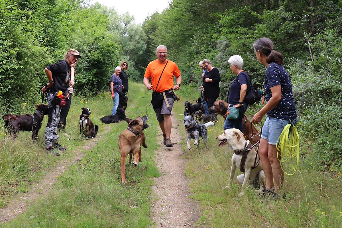 hundeschule-karlstedt-schnupperaktion-06