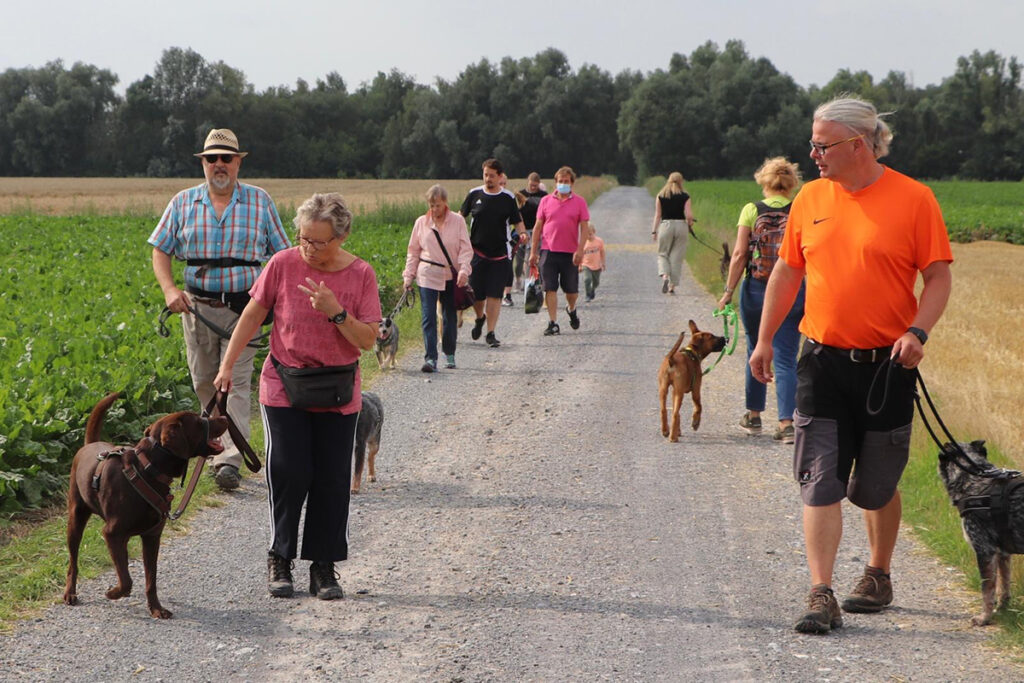 hundeschule-karlstedt-schnupperaktion-08