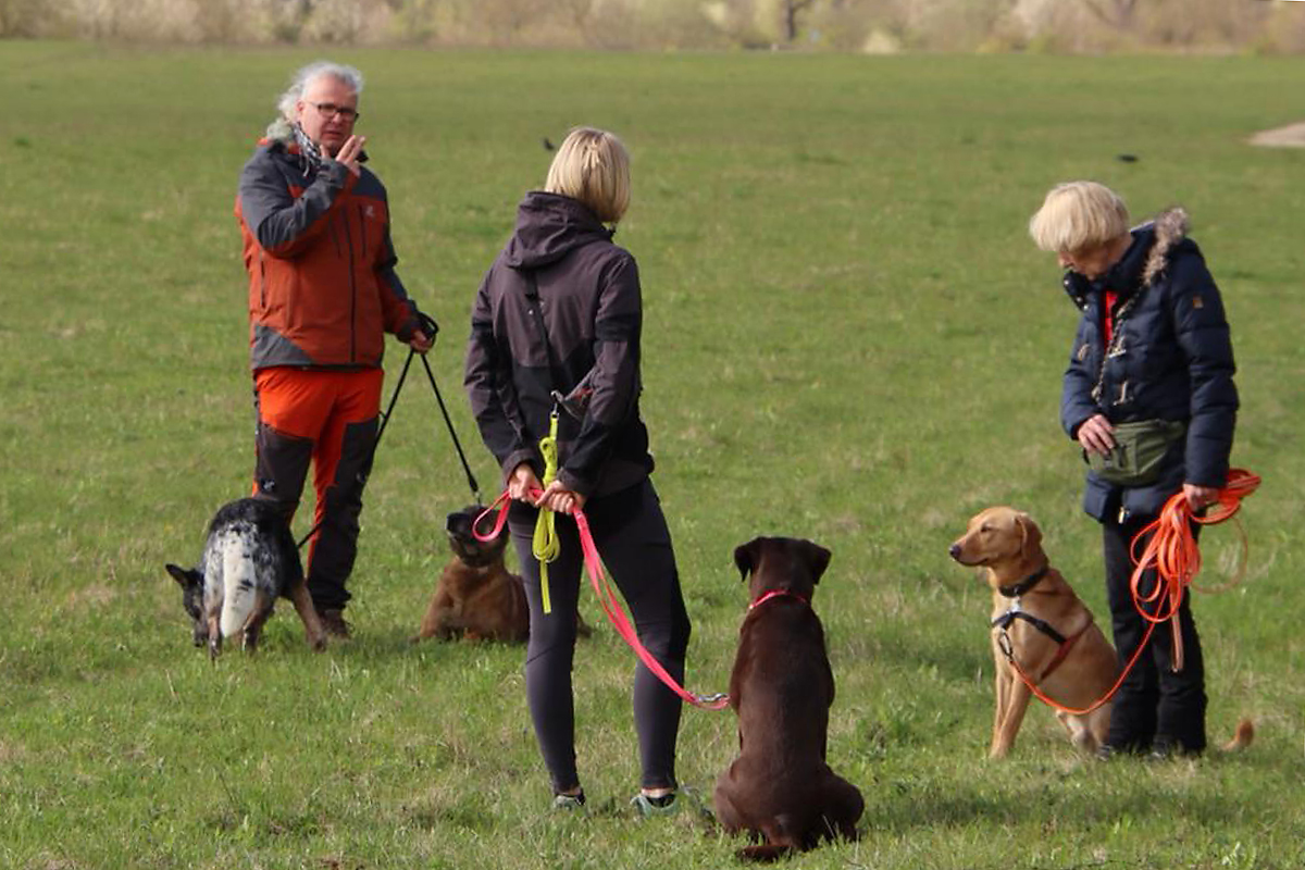 hundeschule-karlstedt-schnupperaktion-10