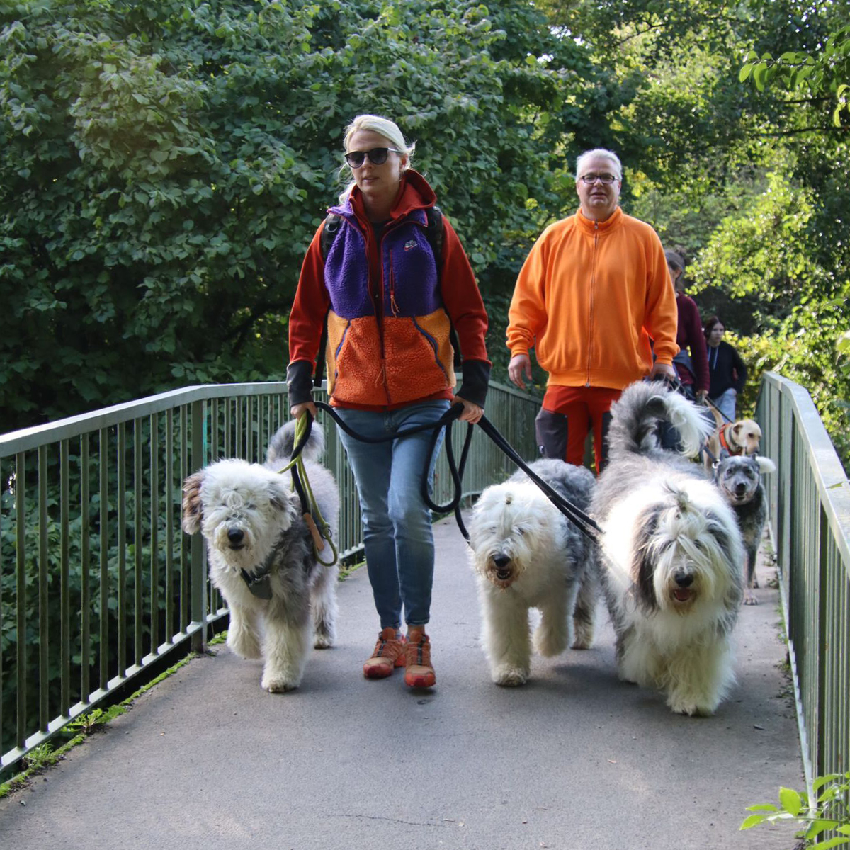 hundeschule-karlstedt-schnupperaktion-14-quadrat