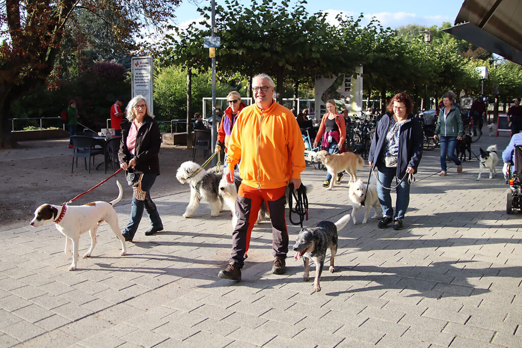 hundeschule-karlstedt-schnupperaktion-16