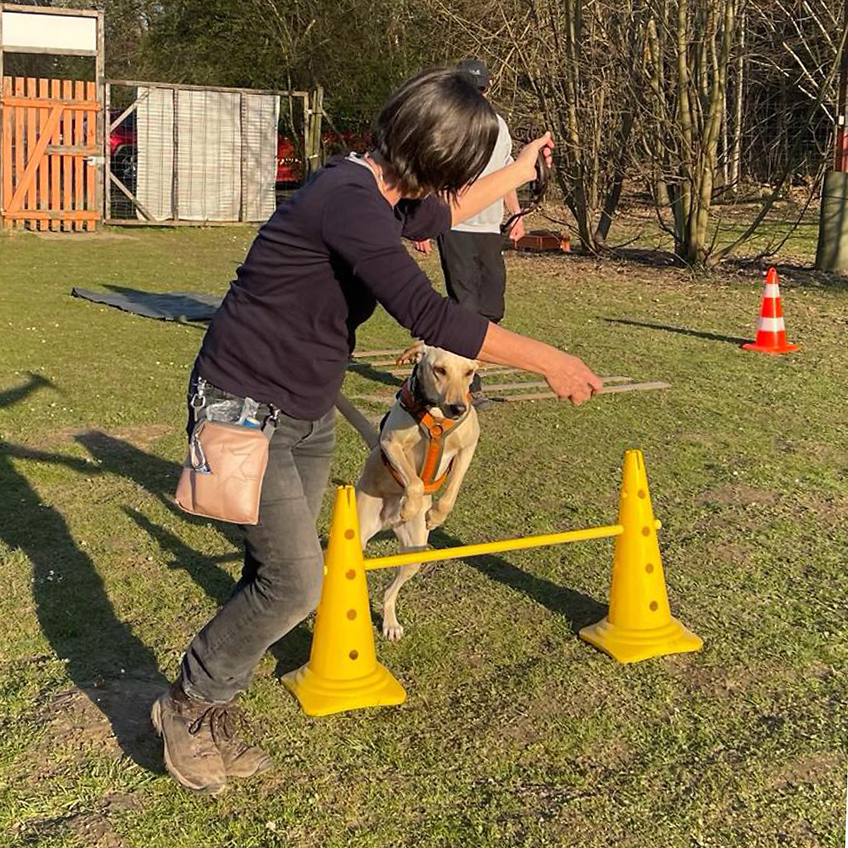 hundeschule-karlstedt-schnupperaktion-17-quadrat