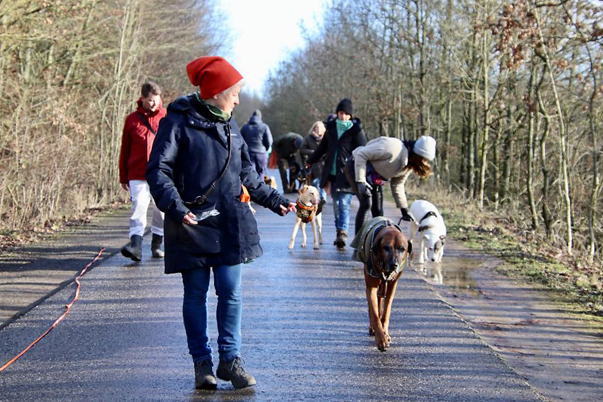 hundeschule-karlstedt-schnupperaktion-19