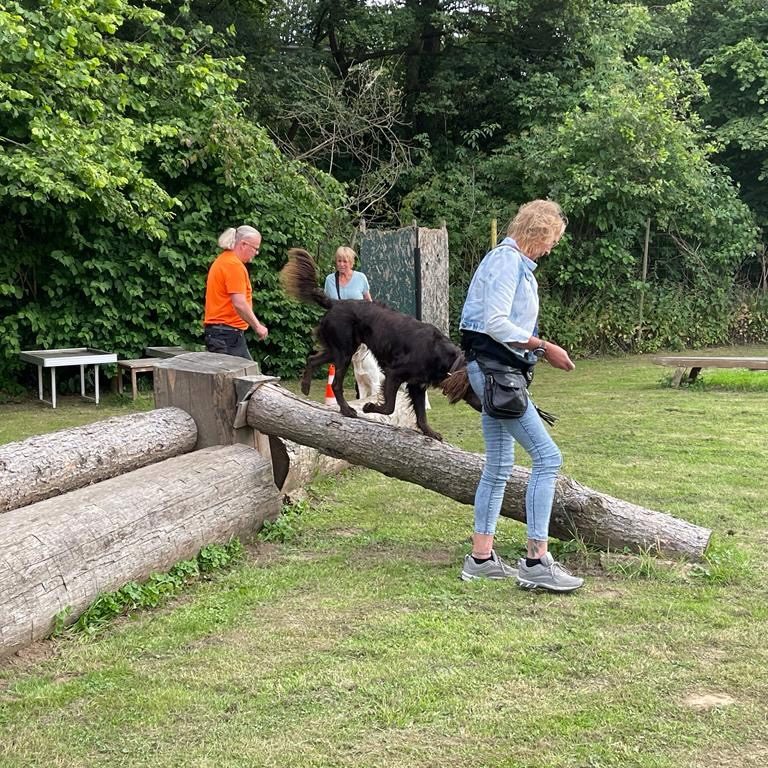 hundeschule-karlstedt-agility-2206-15