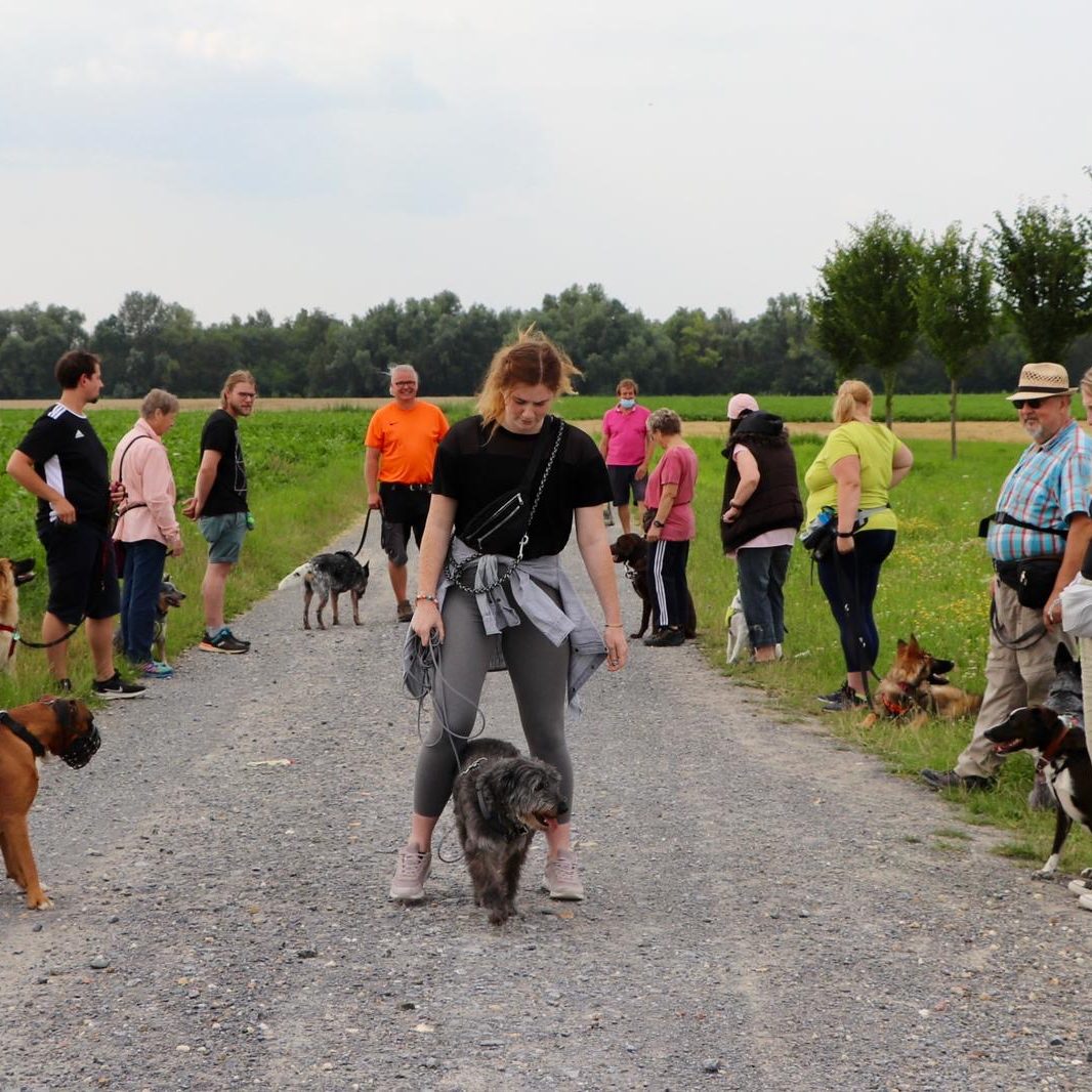 hundeschule-karlstedt-gruppenstunde-starter-juli-2021-20