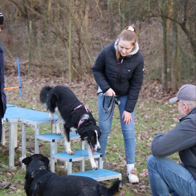 hundeschule-karlstedt-hundeplatz-2202-10