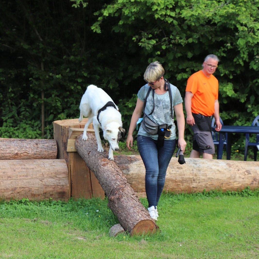 hundeschule-karlstedt-naturparcours-08
