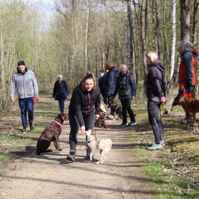 hundeschule-karlstedt-peeringsmaar-april-2022-08