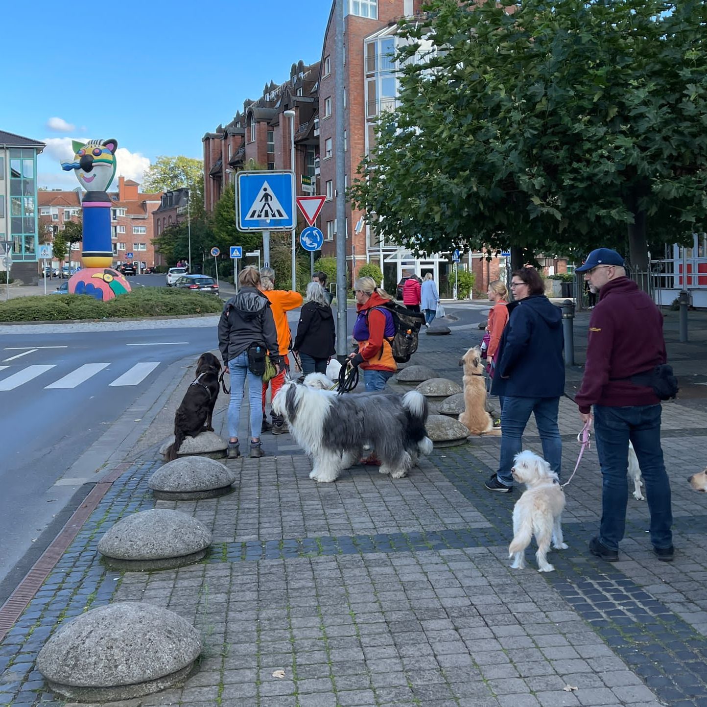 hundeschule-karlstedt-stadttraining-2209-12