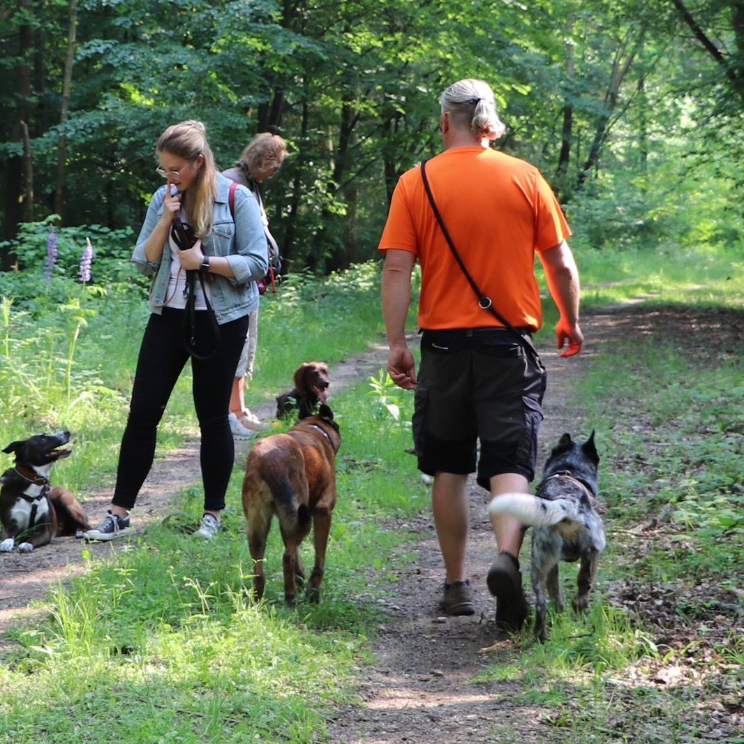 hundeschule-karlstedt-training-gelaende-07